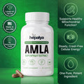 HEPALYA Amla Superfruit - The Daily Cellular Recharge