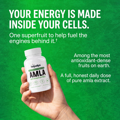 HEPALYA Amla Superfruit - The Daily Cellular Recharge